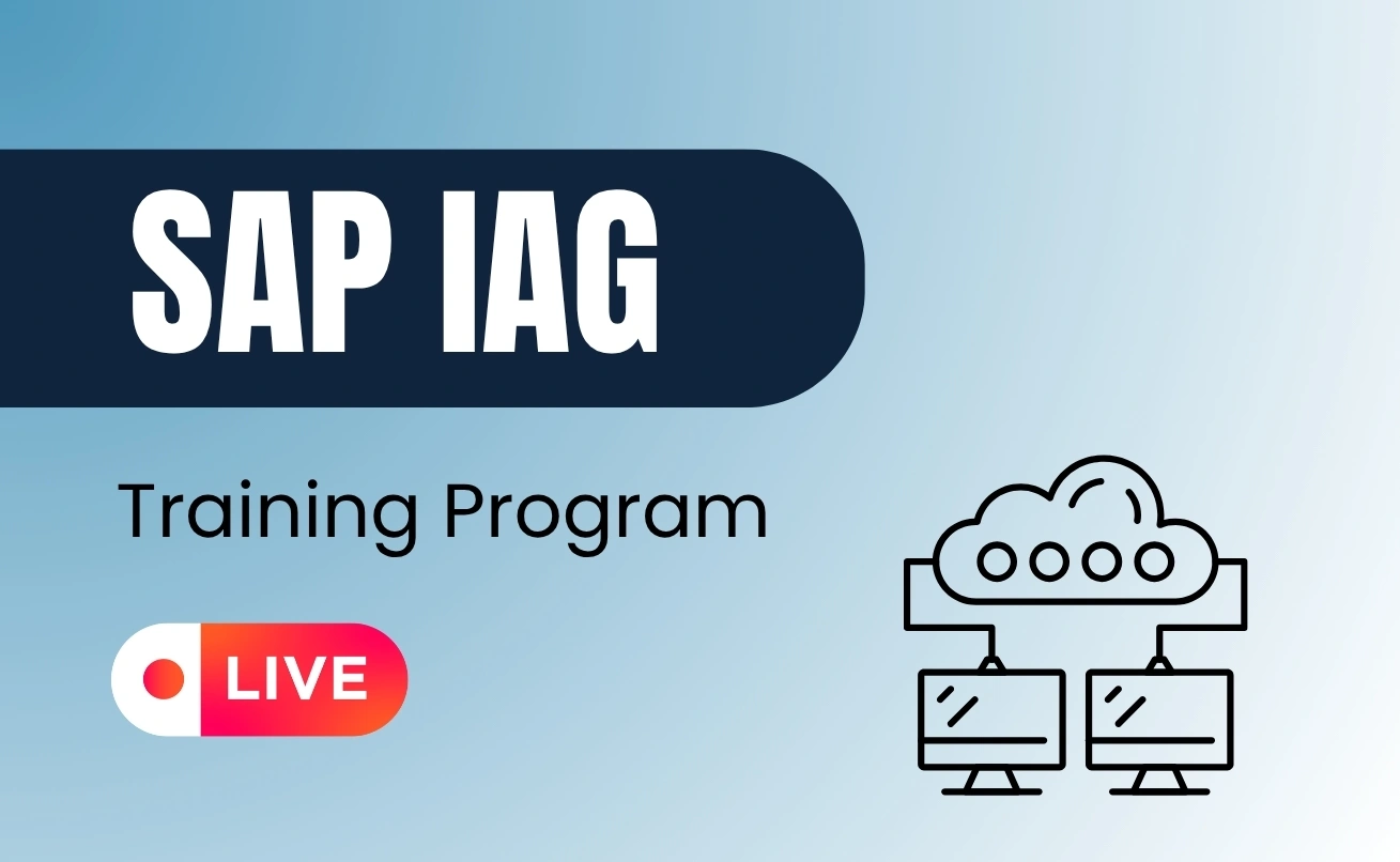 SAP IAG Course